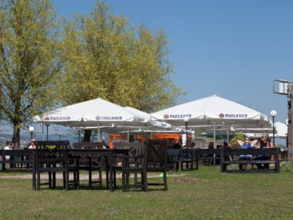 Foto: Ingelheimer Sommergarten